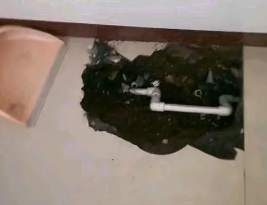 昭苏卫生间测漏水多少钱